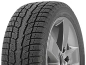 PERFORMANCE WINTER RADIAL